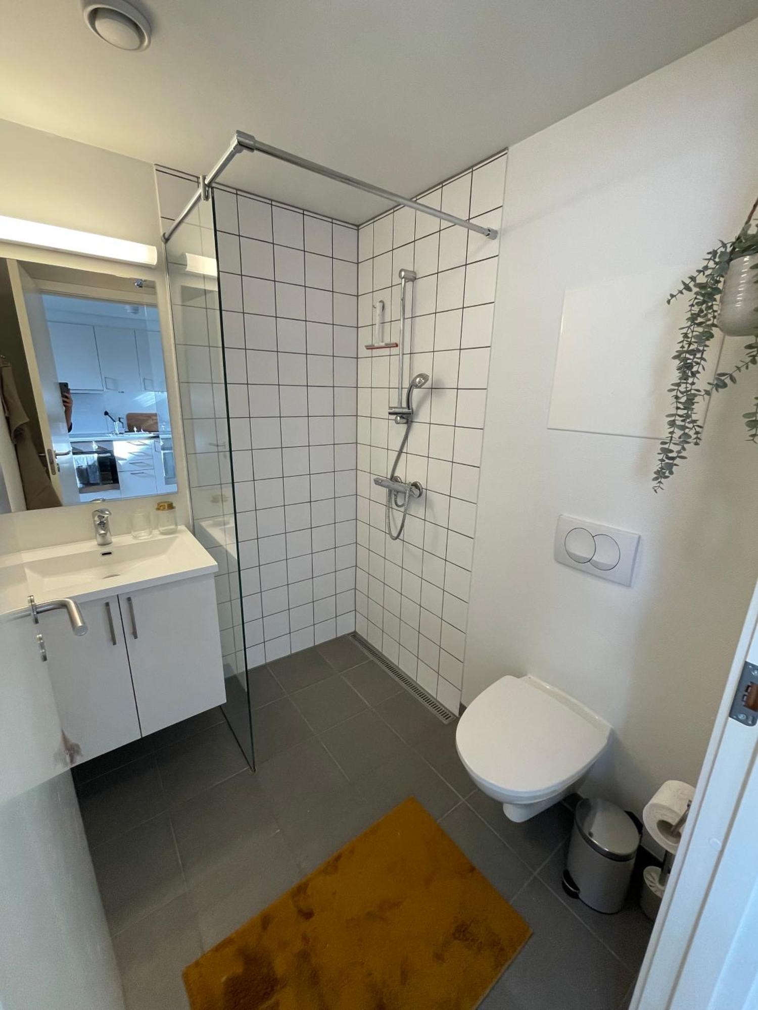Central Lejlighed I Odense C Leilighet Eksteriør bilde